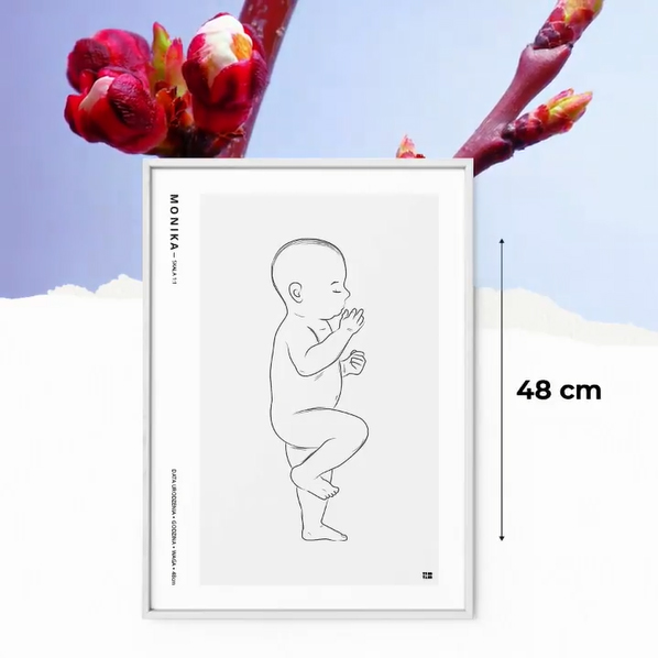 plakat_animacja