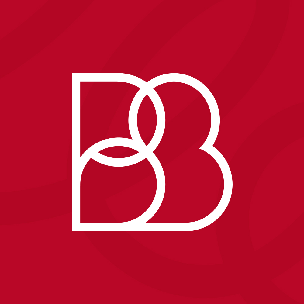 BB_okladka_portfolio